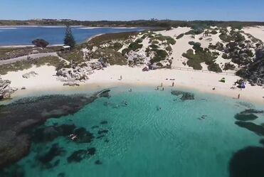 The Left Banke - Walk Away Rene (1966)