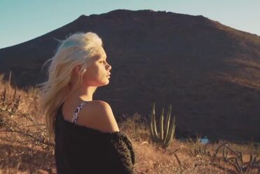 Van Morrison - Moondance (1970)