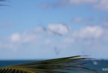 Depeche Mode - Personal Jesus (1989)