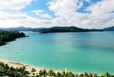 Bob Dylan - Positively 4th Street (1965)