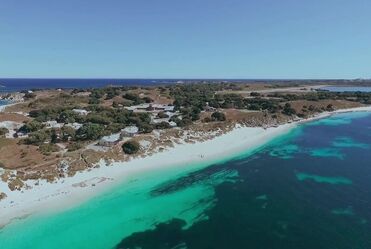 Muddy Waters - Hoochie Coochie Man (1954)