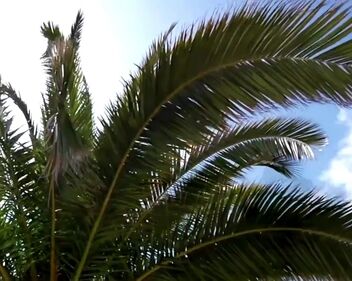 The Clash - Should I Stay Or Should I Go (1982)