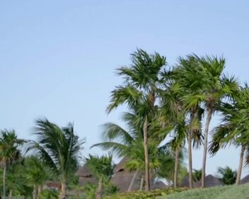 Cream - White Room (1968)