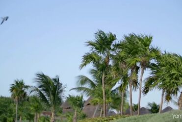 Cream - White Room (1968)