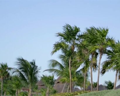 Cream - White Room (1968)