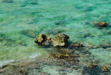 AC DC - Highway to Hell (1979)