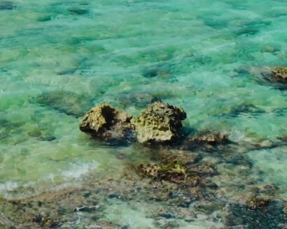 AC DC - Highway to Hell (1979)