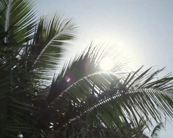 Screamin- Jay Hawkins - I Put a Spell on You (1956)