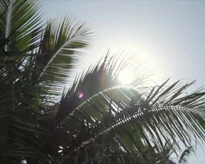 Screamin- Jay Hawkins - I Put a Spell on You (1956)