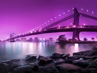 Evening and night bridges in the lights