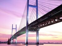 Evening and night bridges in the lights