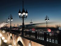 Evening and night bridges in the lights