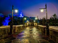 Evening and night bridges in the lights