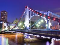 Evening and night bridges in the lights