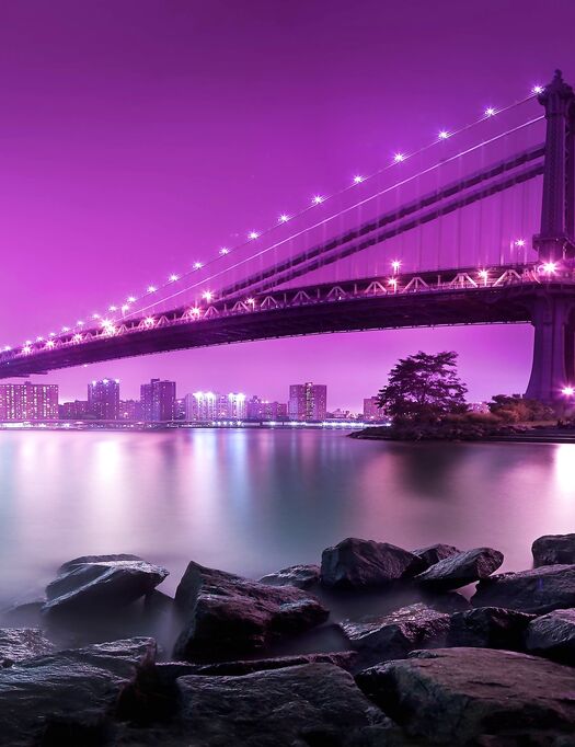 Evening and night bridges in the lights