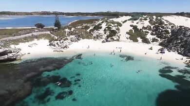 The Left Banke - Walk Away Rene (1966)