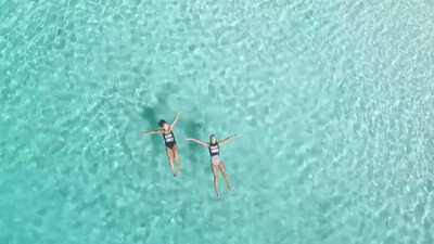 The Left Banke - Walk Away Rene (1966)