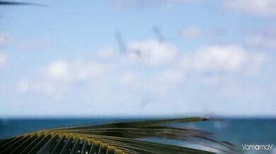 Depeche Mode - Personal Jesus (1989)