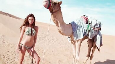 Earth, Wind & Fire - That-s the Way of the World (1975)