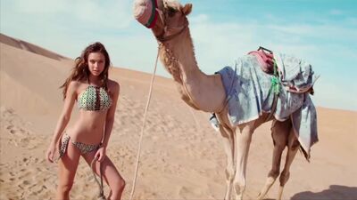 Earth, Wind & Fire - That-s the Way of the World (1975)