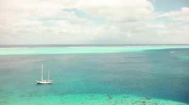 Muddy Waters - Mannish Boy (1955)