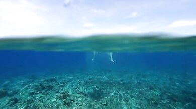 Question Mark & The Mysterians - 96 Tears (1966)