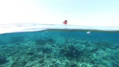 Question Mark & The Mysterians - 96 Tears (1966)