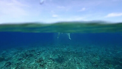 Question Mark & The Mysterians - 96 Tears (1966)