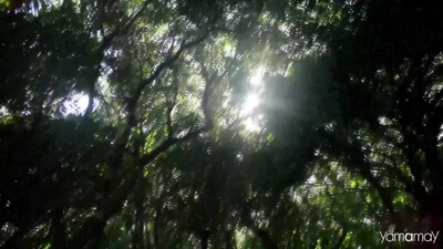 Public Enemy - Fight The Power (1989)