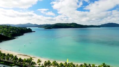 Bob Dylan - Positively 4th Street (1965)