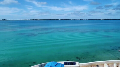 New York Dolls - Personality Crisis (1973)