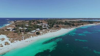 Muddy Waters - Hoochie Coochie Man (1954)