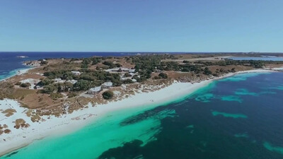 Muddy Waters - Hoochie Coochie Man (1954)