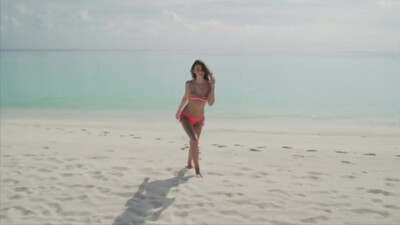 Chuck Berry - Brown Eyed Handsome Man (1956)