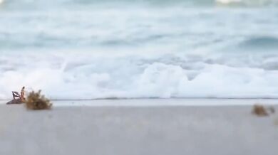 Bob Marley & The Wailers - Get Up Stand Up (1975)