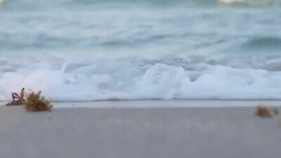 Bob Marley & The Wailers - Get Up Stand Up (1975)