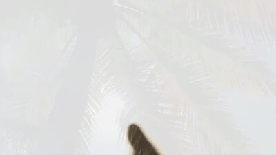 Bob Marley & The Wailers - Get Up Stand Up (1975)