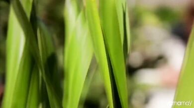 Paul McCartney - Maybe I-m Amazed (1970)