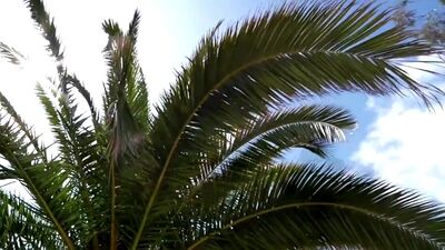 The Clash - Should I Stay Or Should I Go (1982)