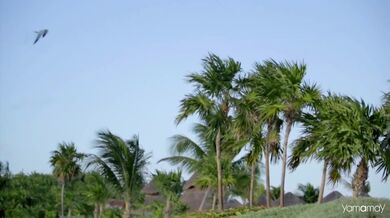 Cream - White Room (1968)