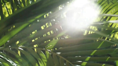 Roberta Flack - Killing me softly with his song (1973)