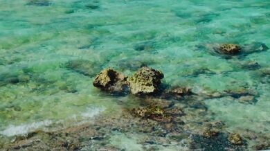 AC DC - Highway to Hell (1979)