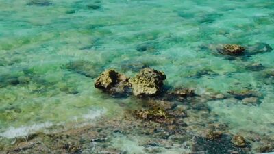 AC DC - Highway to Hell (1979)