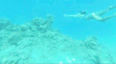 Elvis Costello - Alison (1977)