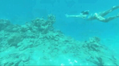 Elvis Costello - Alison (1977)