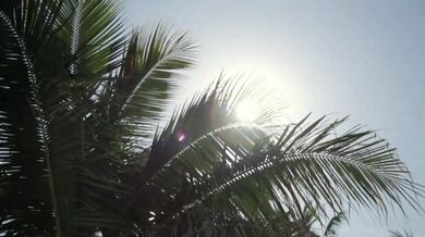 Screamin- Jay Hawkins - I Put a Spell on You (1956)