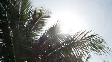 Screamin- Jay Hawkins - I Put a Spell on You (1956)