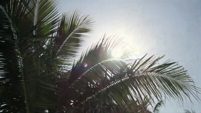 Screamin- Jay Hawkins - I Put a Spell on You (1956)