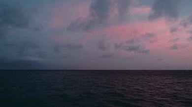 Elvis Costello & The Attractions - (What-s So Funny -Bout) Peace, Love And Understanding(1979)