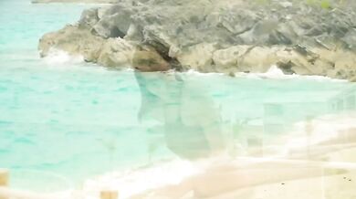 The Ronettes - Walking In The Rain (1964)